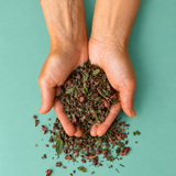 Infusion cacao & menthe - 75g