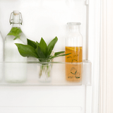 Recette de Tereré ou maté glacé à la menthe avec glaçons - Boisson d'été saine