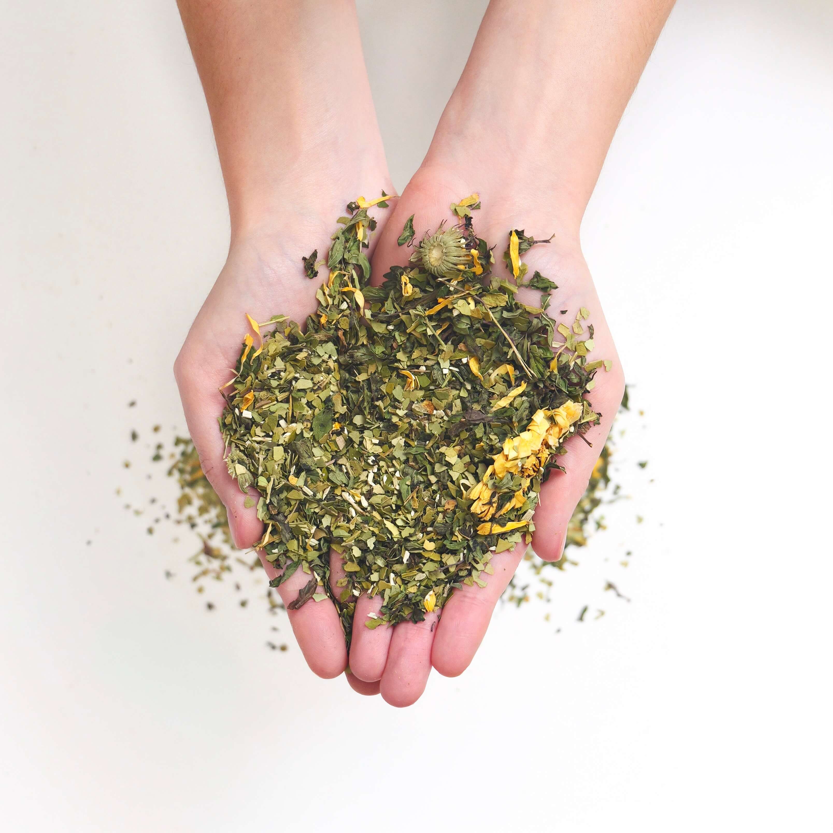 Mélange yerba maté vert et feuilles de menthe bio - Ingrédients naturels 