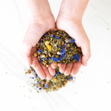 Mélange yerba maté vert et arômes naturels de pêche bio - Préparation maté glacé